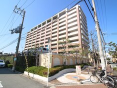 ルネアムパセオ